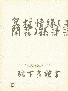 驾校情缘(老树开花)孙潇潇笔趣阁