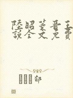 陆昭菱晋王的小说全文免费阅读封面