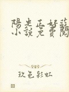 阳光正好苏玥玥小说免费阅读无弹窗