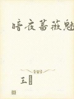 暗夜蔷薇魅