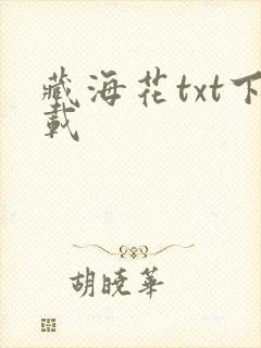 藏海花txt下载封面