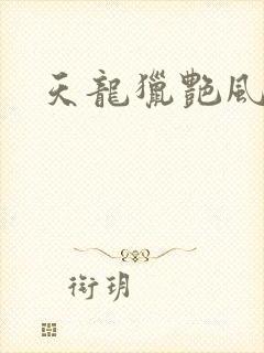 天龙猎艳风流
