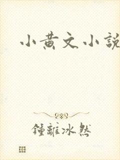 小黄文小说