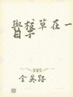 与校草在一起的日子