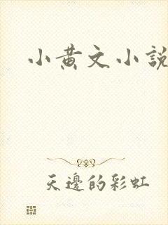 小黄文小说封面