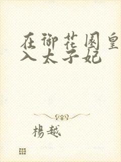 在御花园皇上进入太子妃封面