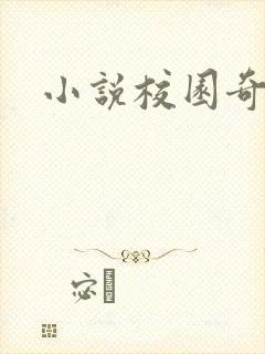 小说校园奇侠封面