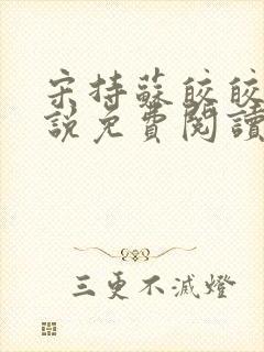 宋持苏皎皎的小说免费阅读