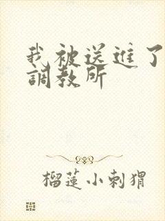 我被送进了私奴调教所封面