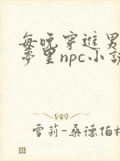 每晚穿进男神的梦里npc小说
