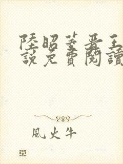 陆昭菱晋王的小说免费阅读