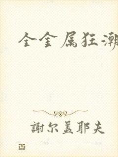 全金属狂潮小说封面