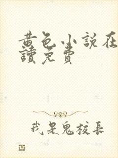 黄色小说在线阅读免费