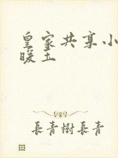 皇家共享小公主暖玉