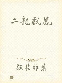 二龙戏凤
