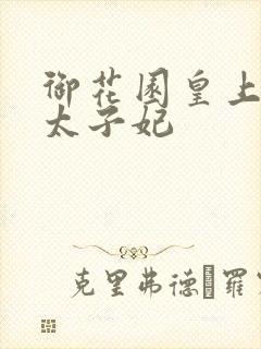 御花园皇上撞着太子妃封面