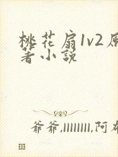 桃花扇1v2原著小说封面