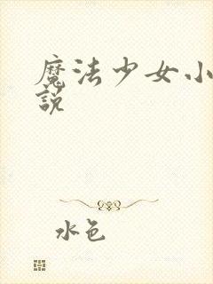 魔法少女小圆小说