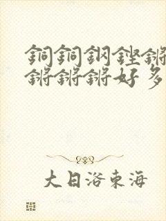 铜铜钢铿锵锵锵锵锵锵好多少阅读封面