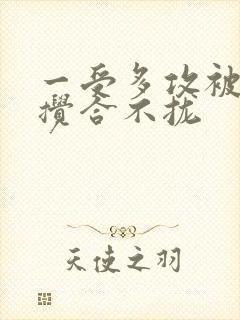 一受多攻被双龙搅合不拢