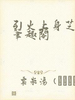 引火上身芝麻糖笔趣阁