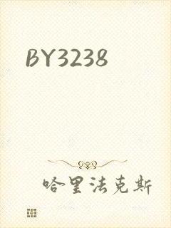 BY3238封面