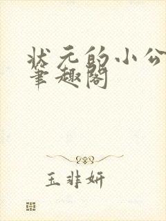 状元的小公主 笔趣阁封面