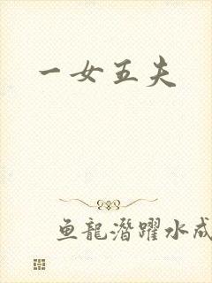 一女五夫封面