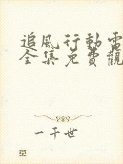 追风行动电视剧全集免费观看封面