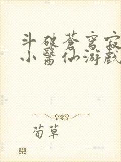 斗破苍穹寂寞的小医仙游戏世界