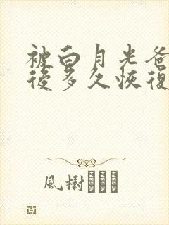 被白月光爸爸喂后多久恢复封面