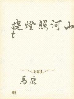 提灯照河山txt封面