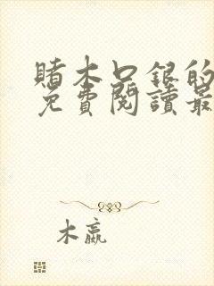 赌木口银的小说免费阅读最新封面