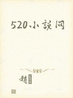 520小说网