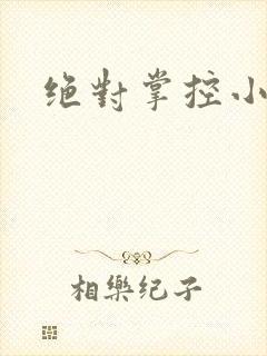 绝对掌控小说