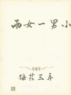 两女一男小说封面