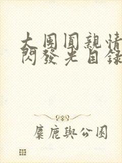 大团圆亲情会闪闪发光目录