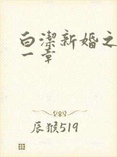 白洁新婚之夜第一章封面