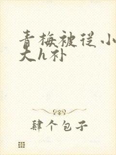 青梅被从小摸到大h补封面