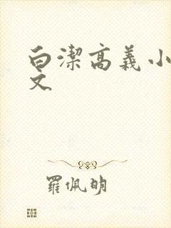 白洁高义小说全文