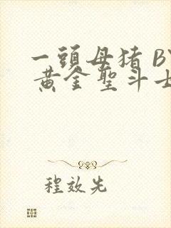 一头母猪 BY 黄金圣斗士