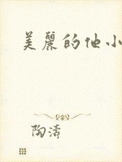 美丽的他小说