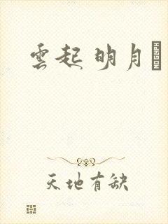 云起 明月珰封面