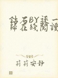 钻石BY逐一而归在线阅读封面