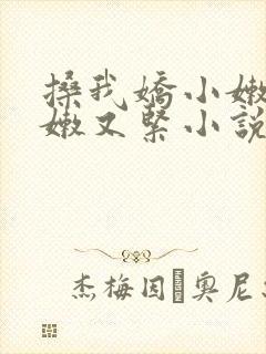 搡我娇小嫩苞又嫩又紧小说