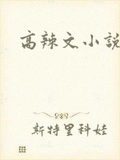 高辣文小说