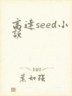高达seed小说封面