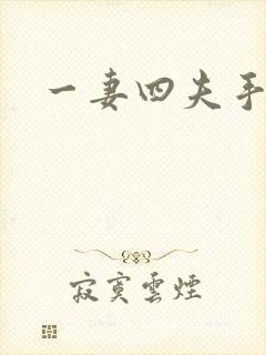 一妻四夫手记