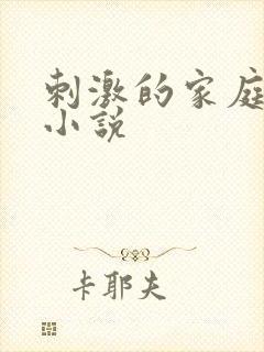 刺激的家庭乱仑小说