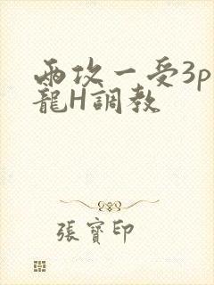 两攻一受3p双龙H调教